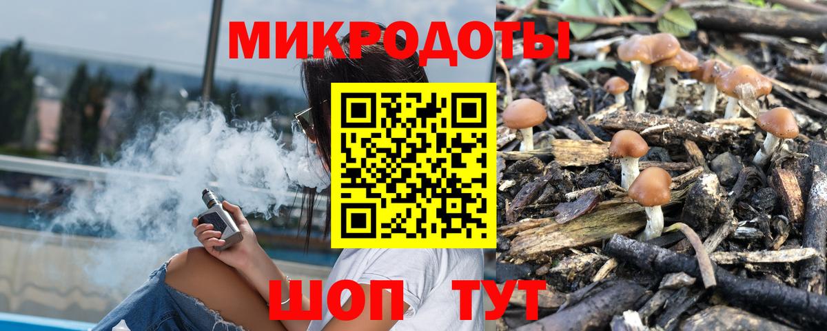 Псилоцибиновые грибы Cubensis Ишимбай
